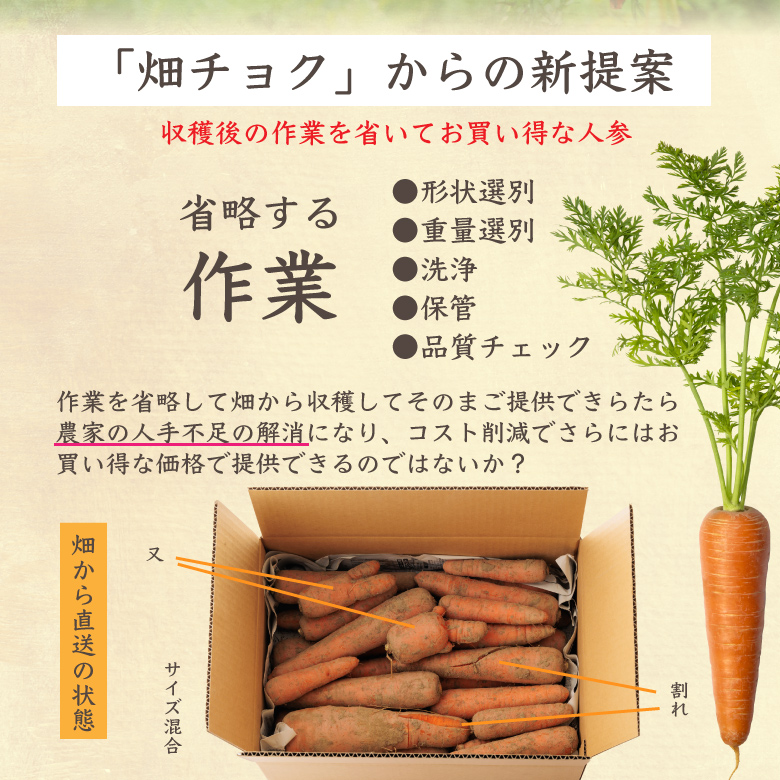 フルーツ人参5kg