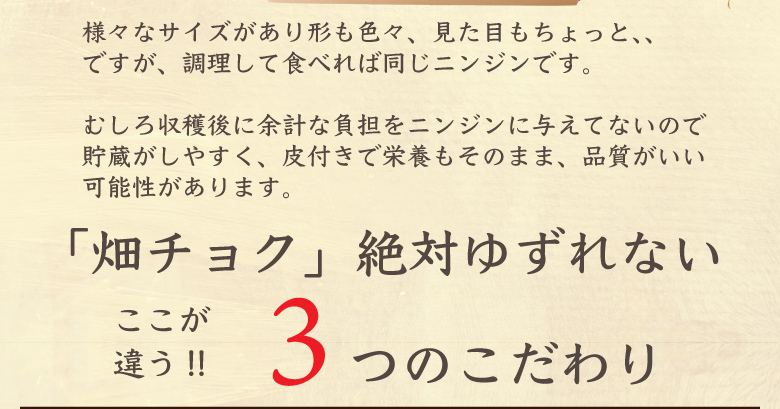フルーツ人参5kg
