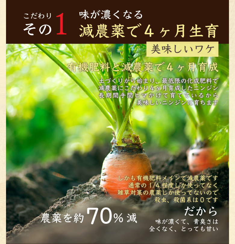 フルーツ人参5kg