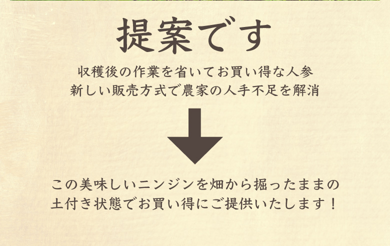 フルーツ人参5kg