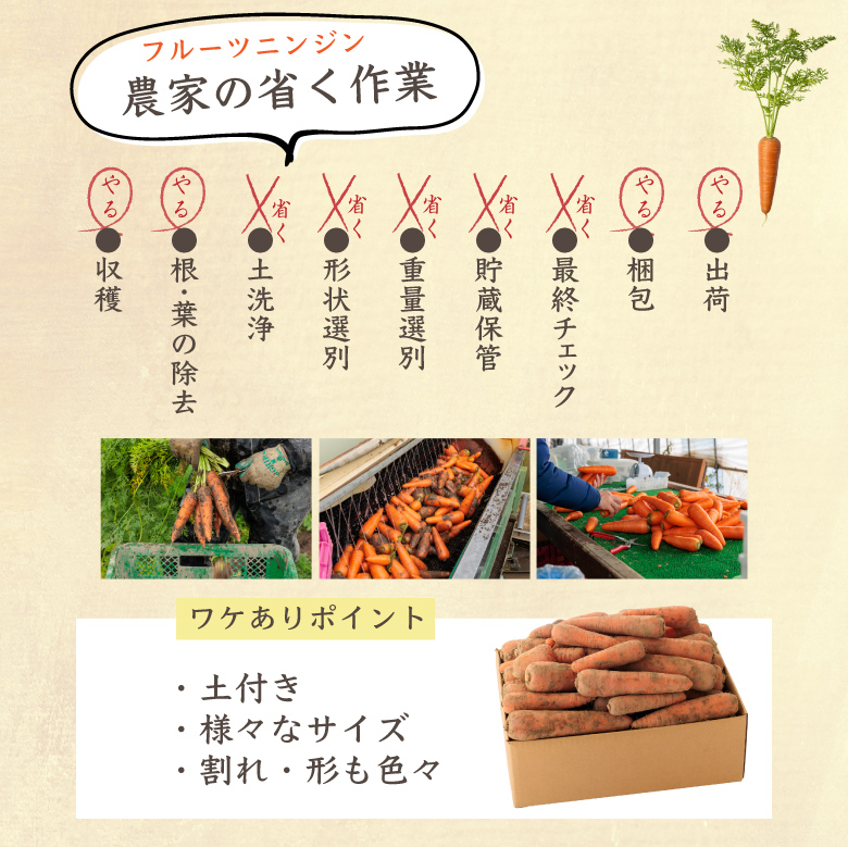 フルーツ人参5kg
