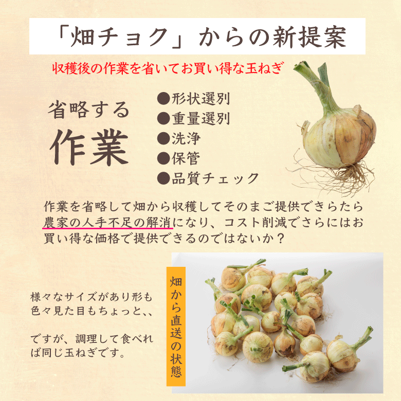 新たまねぎ4kg