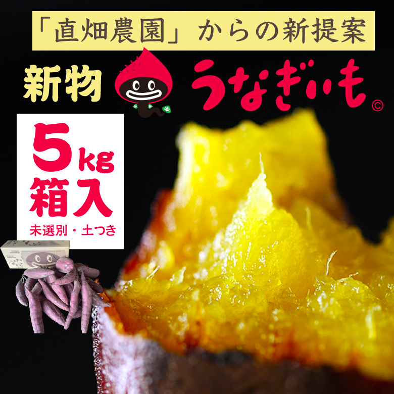 新提案熟成前うなぎいも生いも5kg