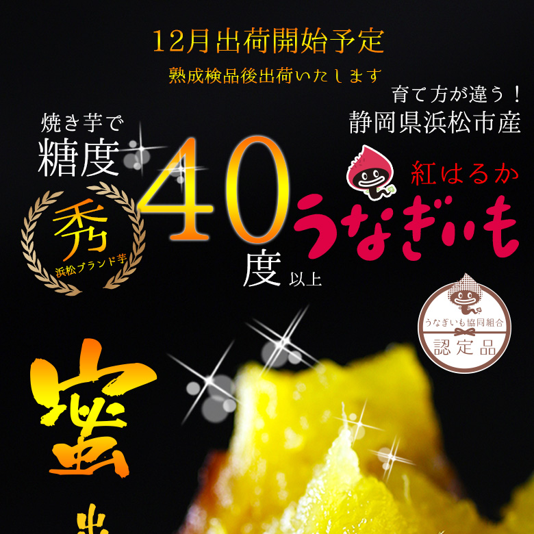 うなぎいも生いも5kg