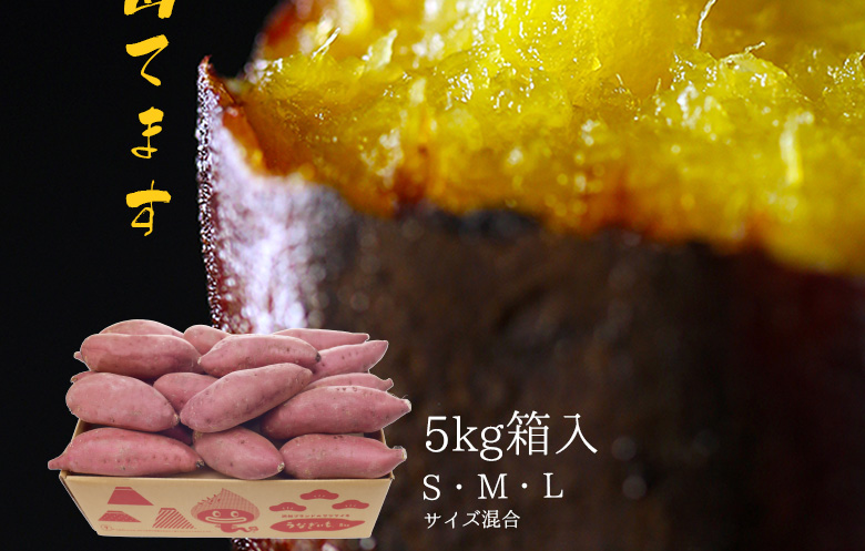 うなぎいも生いも5kg