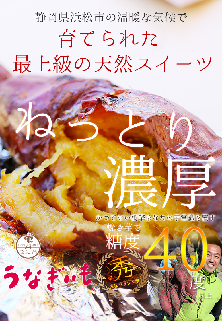 うなぎいも生いも5kg