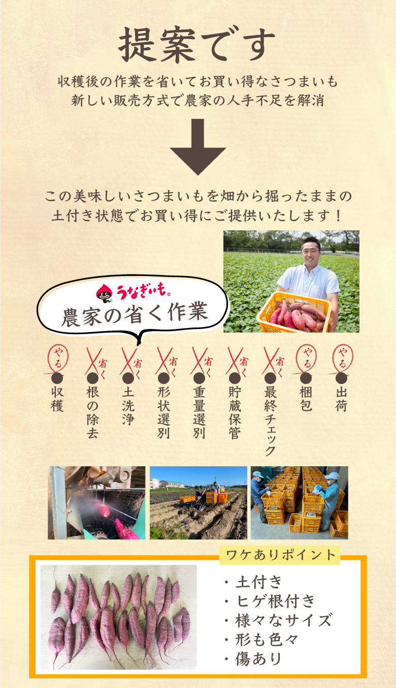 新提案熟成前うなぎいも生いも5kg