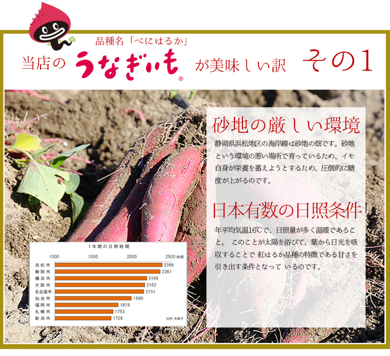 うなぎいも生いも5kg