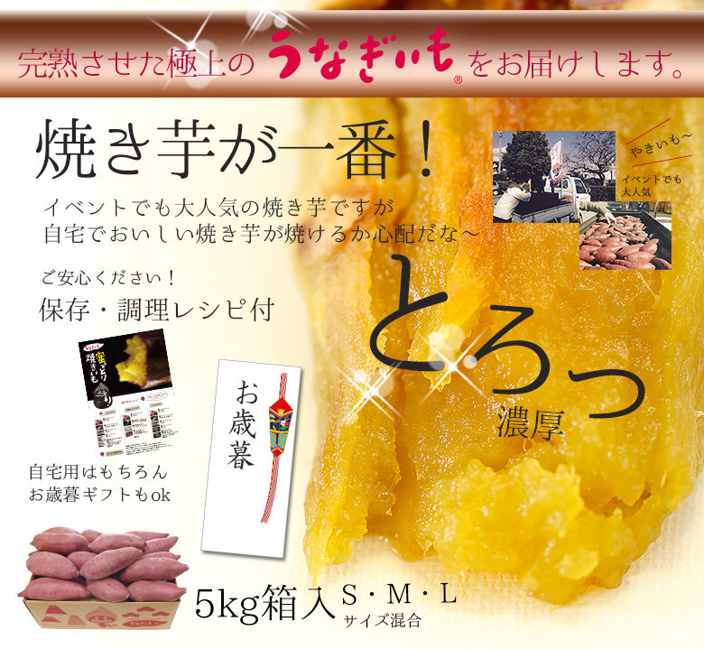 うなぎいも生いも5kg