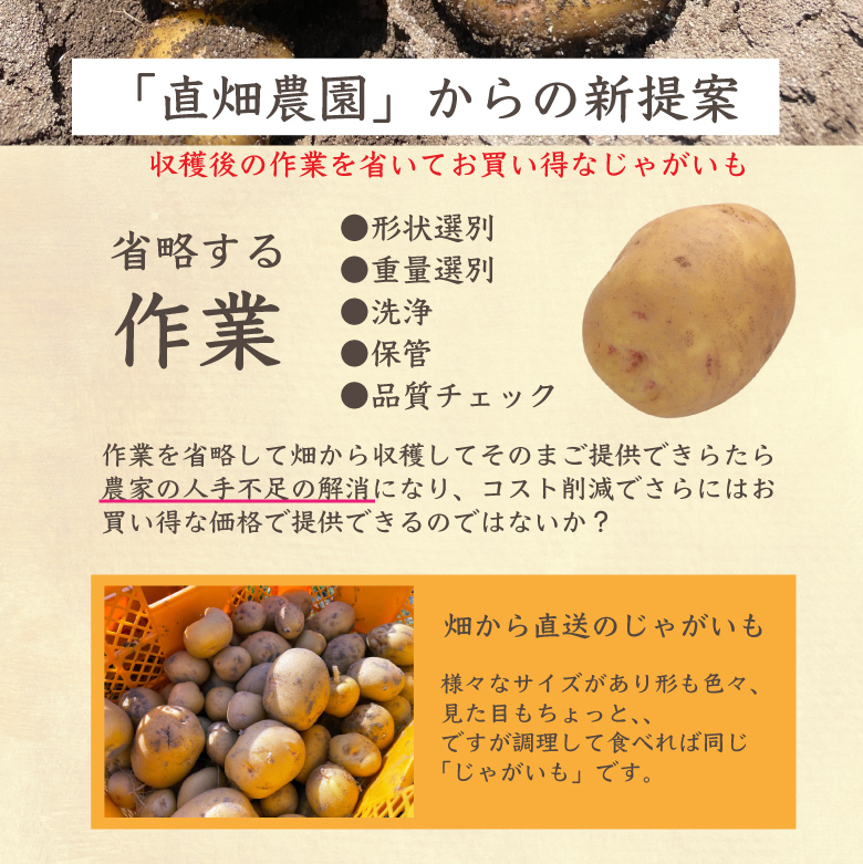 うなぎじゃがいも生いも5kg