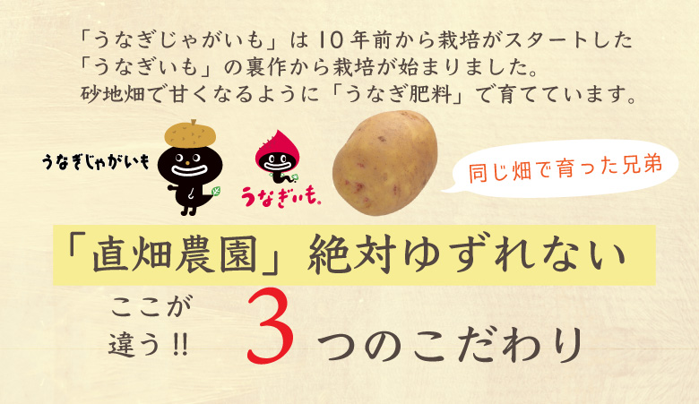 うなぎじゃがいも生いも5kg