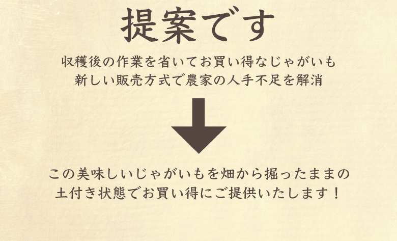 うなぎじゃがいも生いも5kg