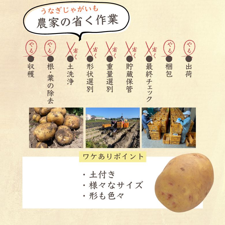 うなぎじゃがいも生いも5kg